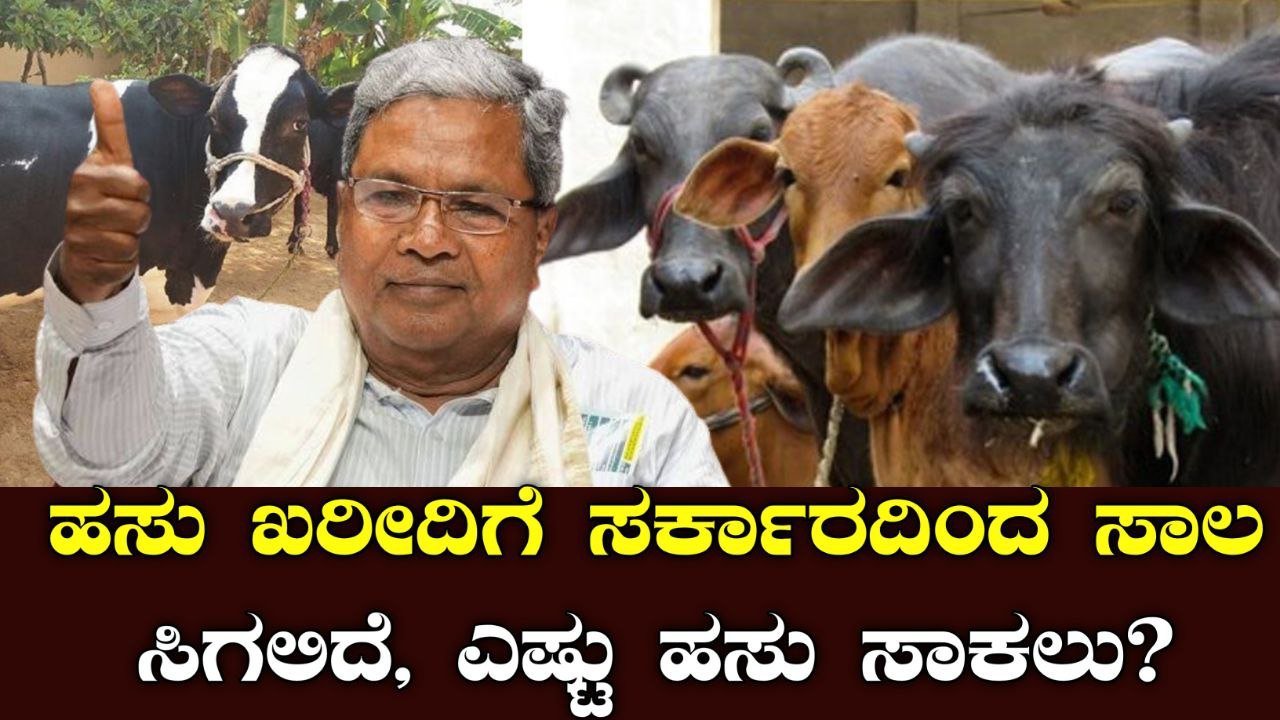 Cow Purchase Schemes
