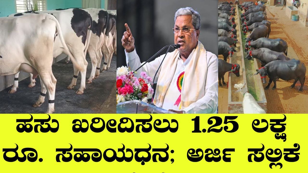ಸರ್ಕಾರವು ಗ್ರಾಮೀಣ ಪ್ರದೇಶದ ಜನರಿಗೆ ಉದ್ಯೋಗ